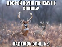 Доброй ночи! Почему не спишь? Надеюсь спишь :)