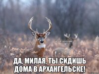  Да, милая, ты сидишь дома в Архангельске!