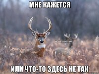 Мне кажется Или что-то здесь не так