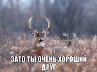  Зато ты очень хороший друг