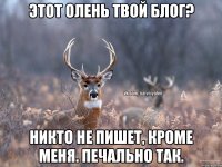 Этот олень твой блог? Никто не пишет, кроме меня. Печально так.