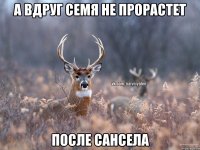 А вдруг семя не прорастет После сансела