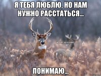 Я тебя люблю, но нам нужно расстаться... понимаю...