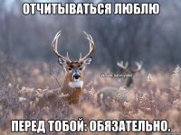 Отчитываться люблю Перед тобой: обязательно.