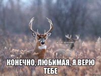  Конечно, любимая, я верю тебе