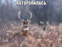 Поторопилась '