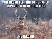 Мне кроме тебя никто не нужен, вернись я же люблю тебя Ну ладно