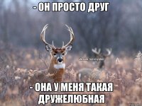 - Он просто друг - Она у меня такая дружелюбная