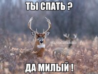 ты спать ? да милый !