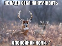 Не надо себя накручивать Спокойной ночи :-*