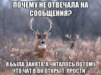 почему не отвечала на сообщения? я была занята, а читалось потому что чат в ВК открыт, прости :*