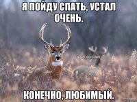 Я пойду спать, устал очень. Конечно, Любимый.