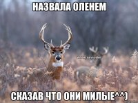 Назвала оленем Сказав что они милые^^)