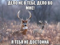 дело не в тебе, дело во мне! я тебя не достойна