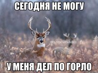 сегодня не могу у меня дел по горло