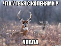 что у тебя с коленями ? упала