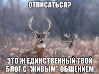 Отписаться? Это ж единственный твой блог с "живым" общением