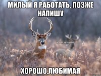 Милый я работать, позже напишу Хорошо,любимая