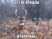 Тест не прошла Фтопкунах