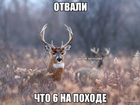 Отвали Что 6 на походе