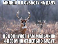 Милый я в субботу на дачу Не волнуйся там мальчики и девочки отдельно будут