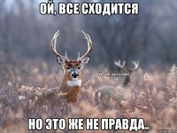 Ой, все сходится Но это же не правда..