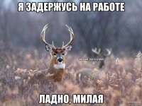 я задержусь на работе ладно, милая