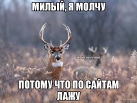 Милый, я молчу потому что по сайтам лажу