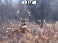 Я ВЕРИЛ 