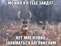 Можно я к тебе зайду? Нет, мне нужно заниматься английским