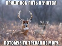 Пришлось пить и учится Потому что тревая не могу