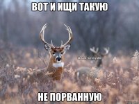 вот и ищи такую не порванную