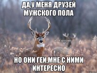 ДА,У МЕНЯ ДРУЗЕЙ МУЖСКОГО ПОЛА НО ОНИ ГЕИ,МНЕ С НИМИ ИНТЕРЕСНО