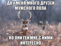 ДА,У МЕНЯ МНОГО ДРУЗЕЙ МУЖСКОГО ПОЛА НО ОНИ ГЕИ,МНЕ С НИМИ ИНТЕРЕСНО