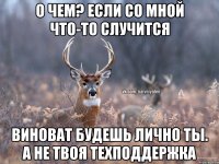 О чем? Если со мной что-то случится Виноват будешь лично ты. А не твоя техподдержка