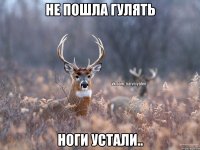 не пошла гулять ноги устали..