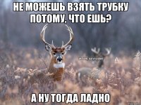 Не можешь взять трубку потому, что ешь? А ну тогда ладно