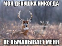 моя девушка никогда не обманывает меня