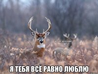  я тебя всё равно люблю