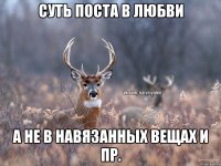 Суть поста в любви А не в навязанных вещах и пр.