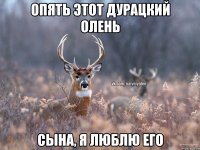 Опять этот дурацкий олень Сына, я люблю его