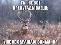 Ты же все предугадываешь Уже не обращаю внимания