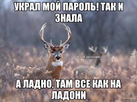 Украл мой пароль! Так и знала А ладно, там все как на ладони