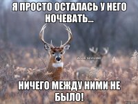 Я просто осталась у него ночевать... Ничего между ними не было!