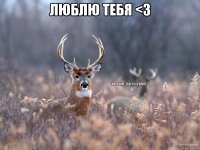 Люблю тебя <3 