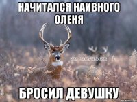 начитался наивного оленя бросил девушку