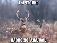 Ты чтоли? Давно догадалась