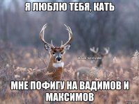 Я люблю тебя, Кать Мне пофигу на Вадимов и Максимов