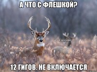 А что с флешкой? 12 гигов. Не включается