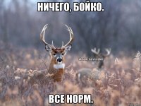 ничего, Бойко. все норм.